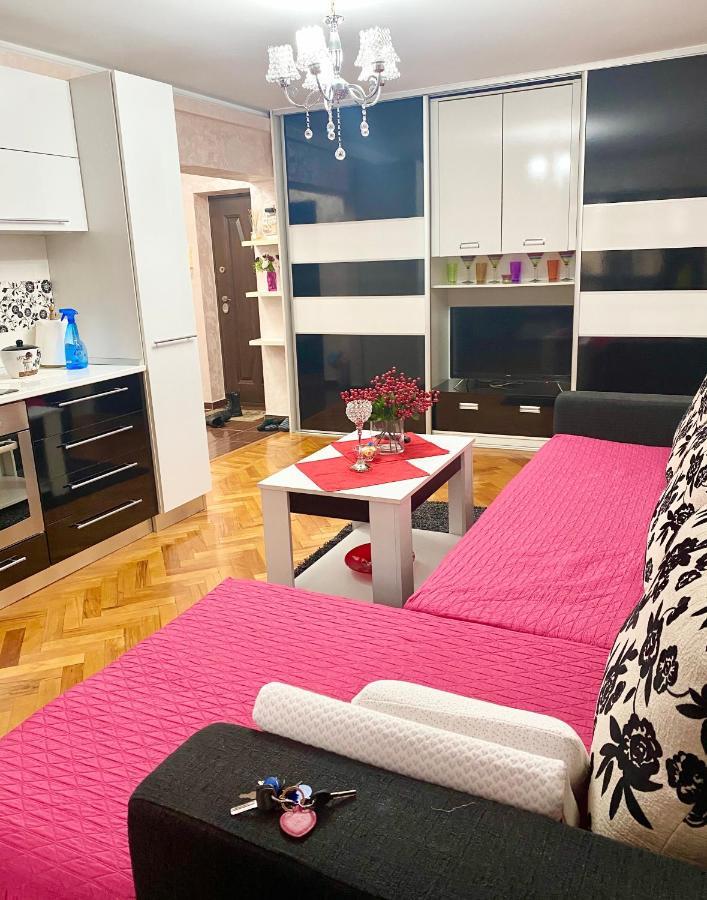 Tribunal Apartament Langa Faleza Dunarii Brăila Eksteriør billede