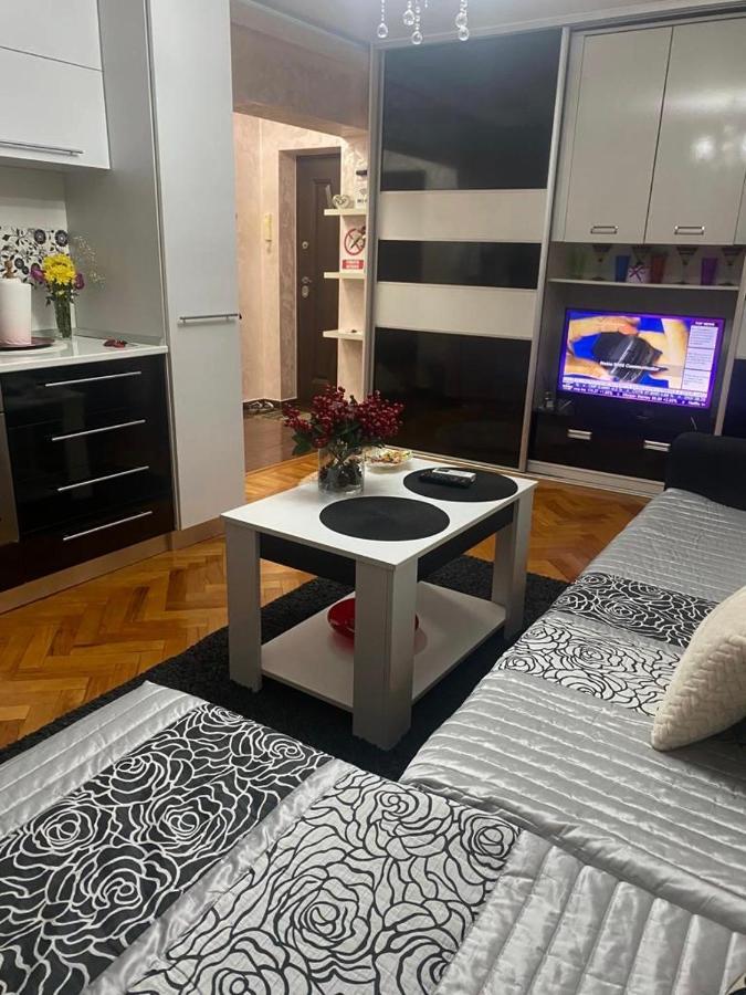 Tribunal Apartament Langa Faleza Dunarii Brăila Eksteriør billede