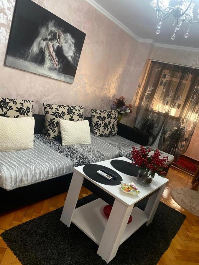 Tribunal Apartament Langa Faleza Dunarii Brăila Eksteriør billede