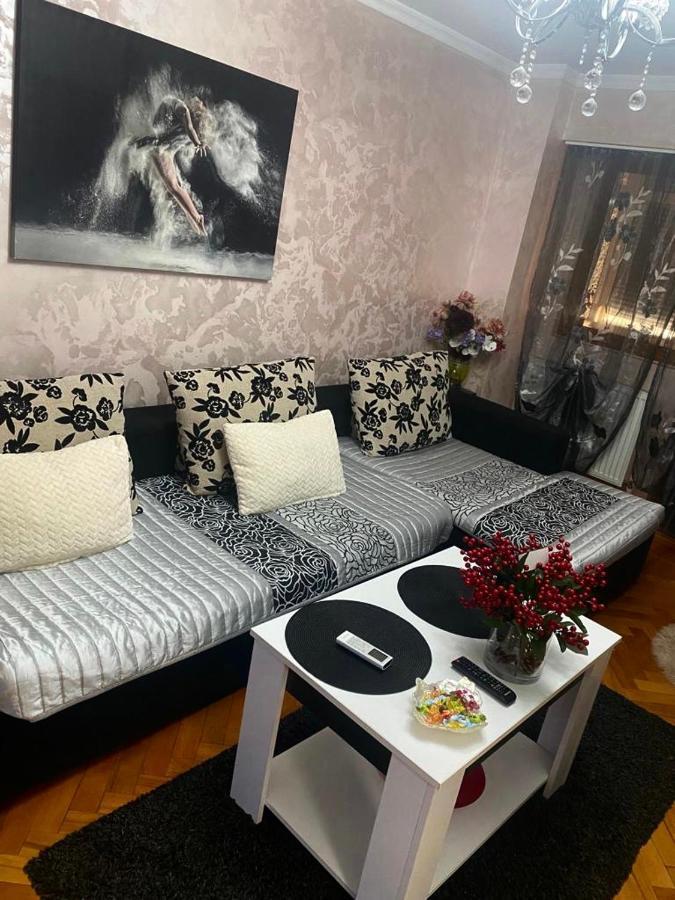 Tribunal Apartament Langa Faleza Dunarii Brăila Eksteriør billede